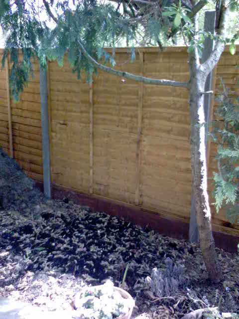 fence_rustington.jpg
